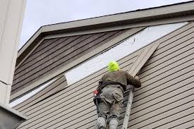 Historical Building Siding Restoration in Bear Creek, AL